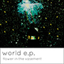 flower in the vasement/world e.p.