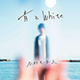 今村モータース/青とWhite